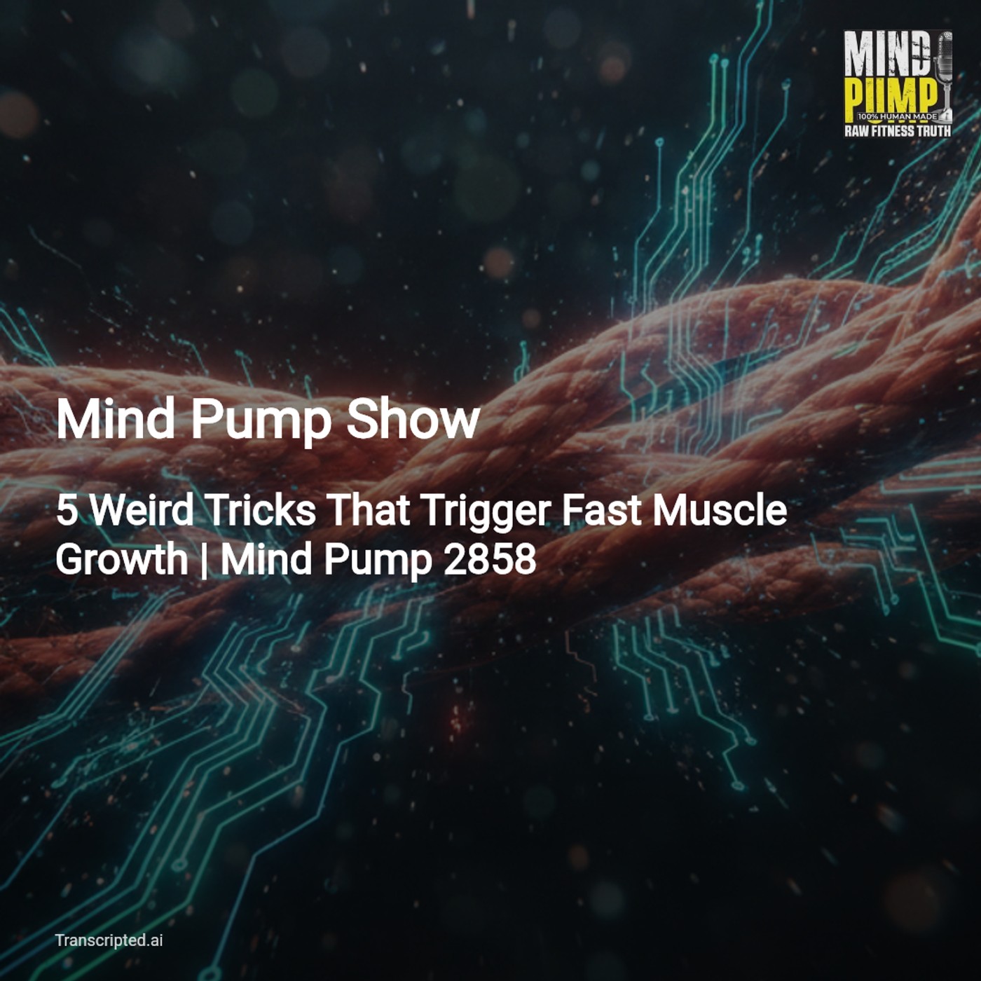 Podcast Cover