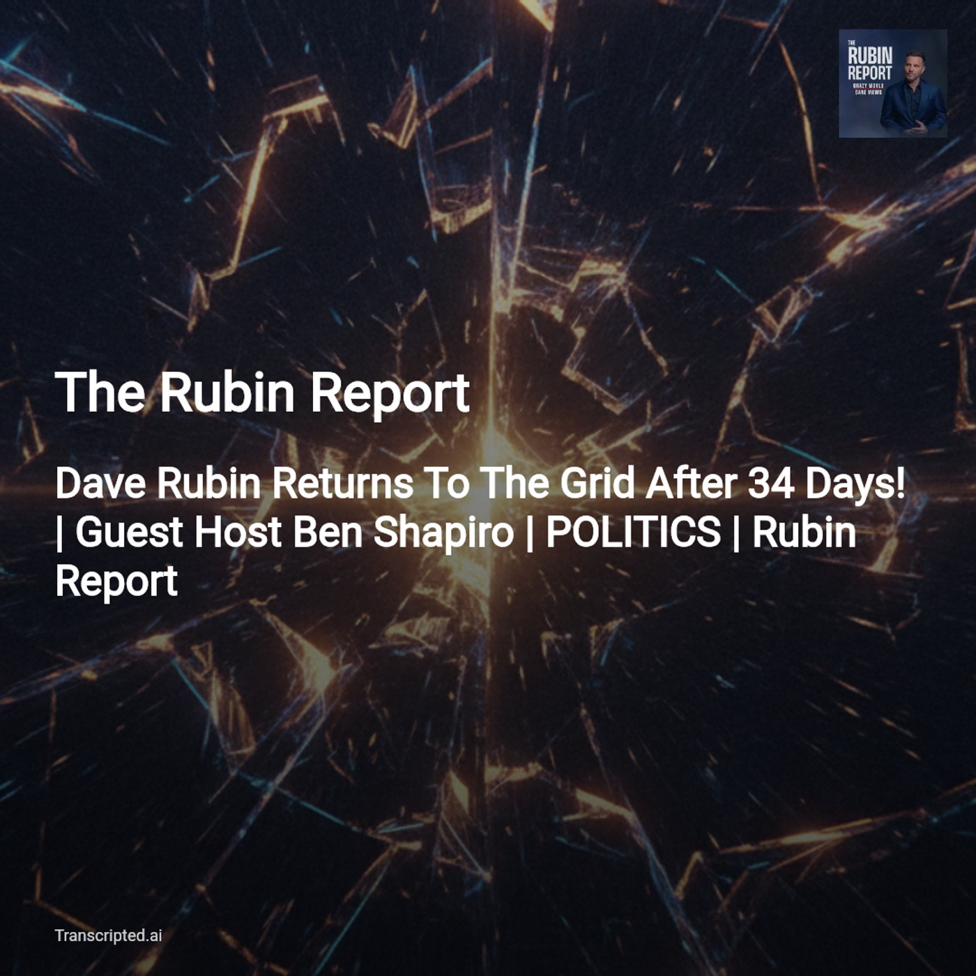 AI Podcast Summaries from Transcripted.ai (VIDEO)